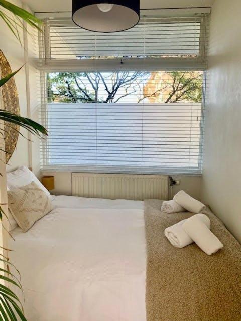 Casa La Cascara Lägenhet Zandvoort Exteriör bild